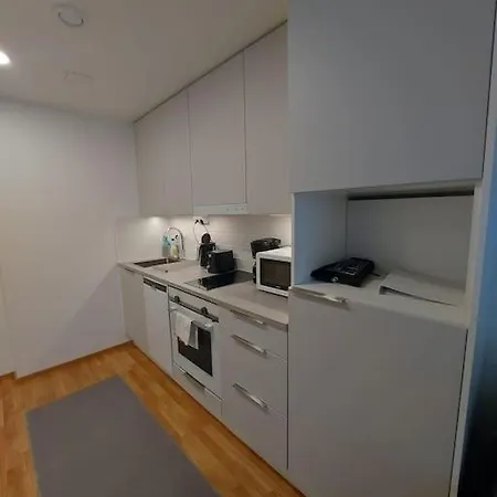 Kotimaailma - Tyylikaes Kaksio Modernilla Keittioellae Apartmán *